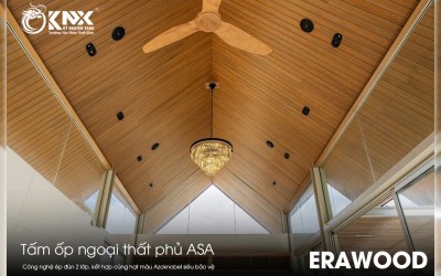 Phân Biệt Gỗ Nhựa Phủ ASA Thật - Giả