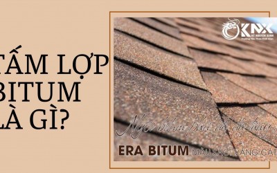 Tấm lợp bitum là gì? Những mẫu tấm lợp bitum đang được ưa chuộng nhất thị trường Việt Nam